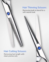 Professional Hair Cutting & Thinning Scissors Kit | Hairdressing Texturizing Razor Edge Scissor Barber Set